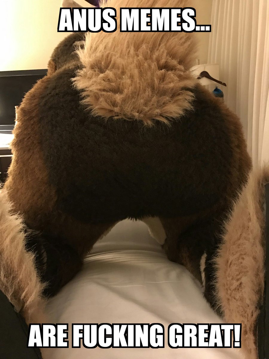 furrymemer's tweet photo. I'm off to bed... I'm just gonna leave with one last meme though...
#anus #anusevolved #multianus #goodnight https://t.co/Q7Fp7DE1Be