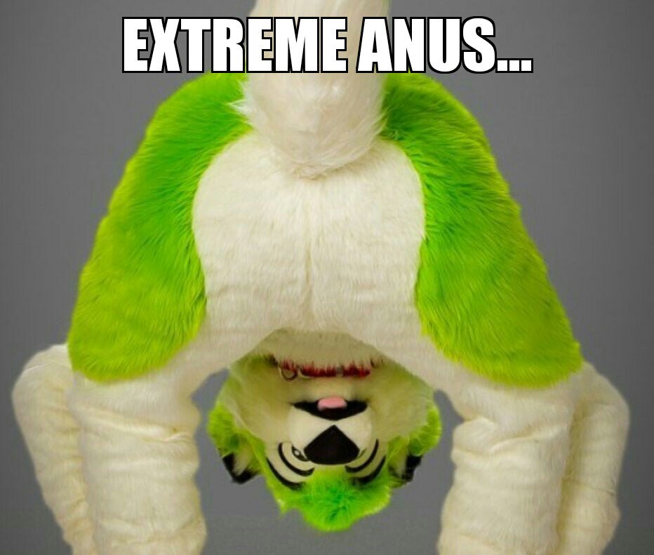 furrymemer's tweet photo. I'm off to bed... I'm just gonna leave with one last meme though...
#anus #anusevolved #multianus #goodnight https://t.co/Q7Fp7DE1Be