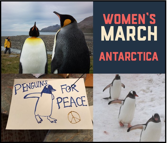 Filmmor_'s tweet photo. #WomensMarch Antartika https://t.co/9mg5OAmKw4