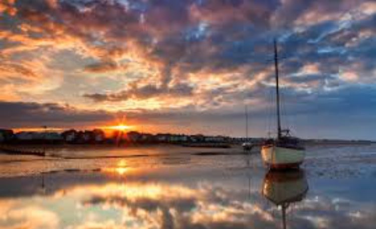 ycusa_'s tweet image. And Goodmorning