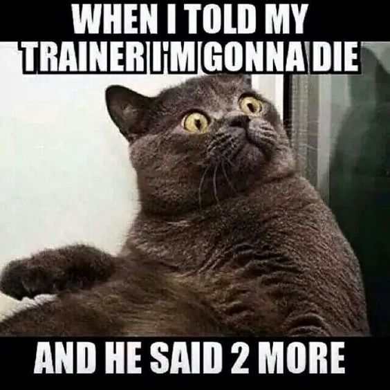 EdinburghClub's tweet image. Retweet if your #trainer has ever done this to you :) #fitness #Edinburgh