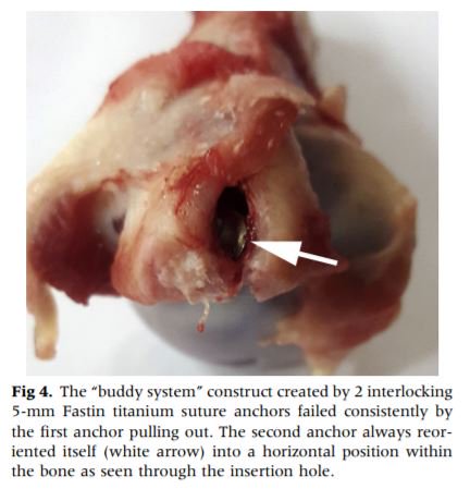 Arthroscopy Journal tweet media