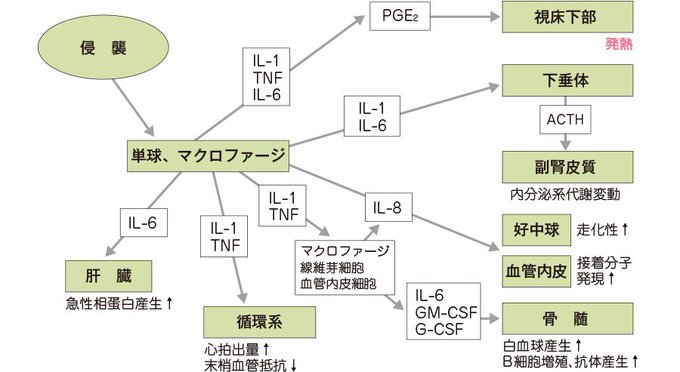 Popular Tweets Of 6年目ナース応援 看護roo 1 Whotwi Graphical Twitter Analysis