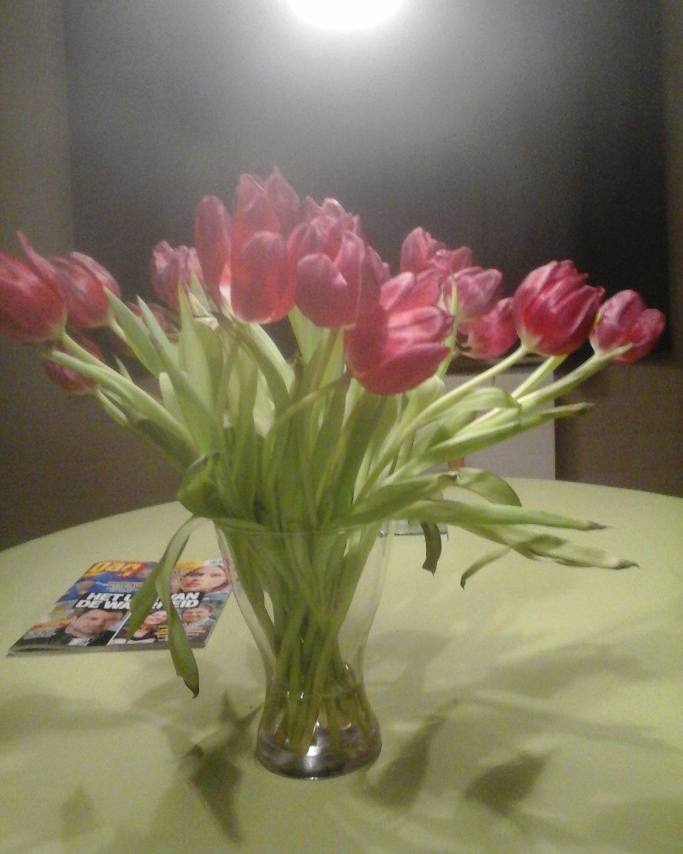 dedecker_ester's tweet image. 