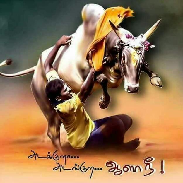 kumaravel111's tweet image. #Marina