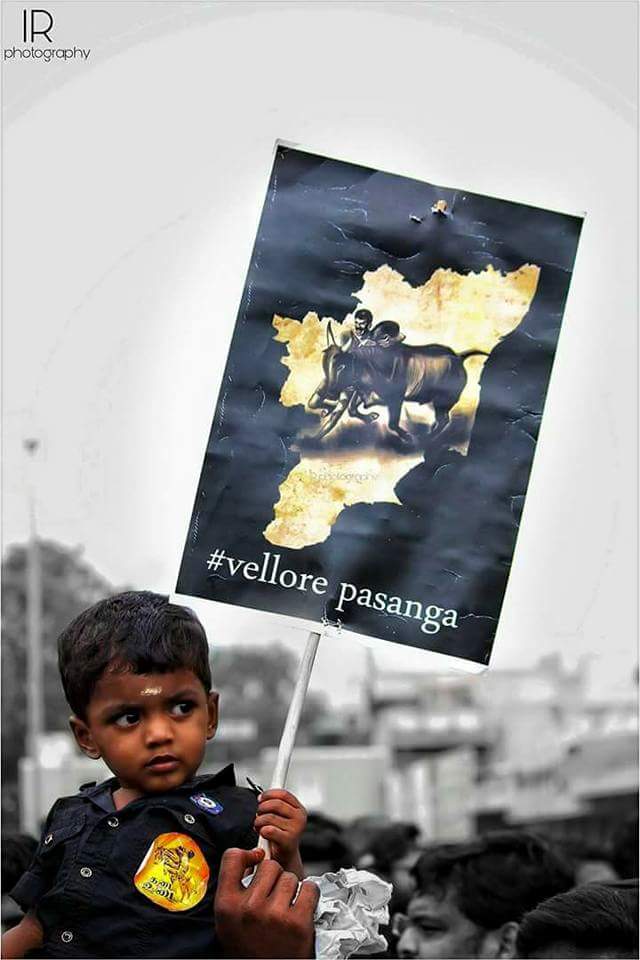 Vellore_city's tweet photo. வேலூர் வருங்கால சந்ததியினரின் தமிழ் உணர்வு #SupportJallikattu #BanPeta #WeWantJallikattu #Velloreprotest https://t.co/iRGqoTinUF