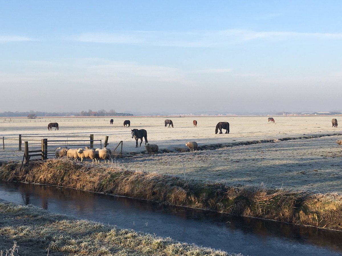 Bron: Ronald Sunnotel