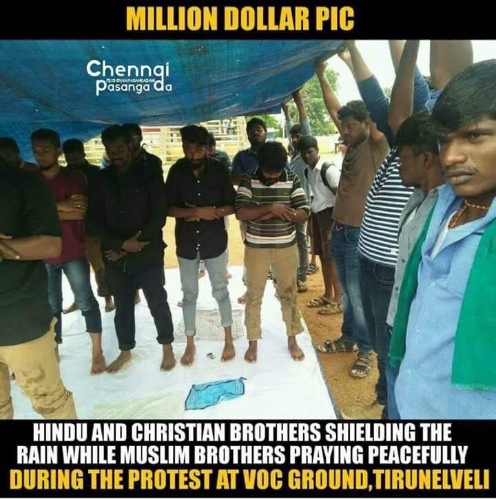 Actor_Jai's tweet photo. No words to say!! hats off!! #SupportJallikattu #studentpower #Tamilanda https://t.co/Sp95gx3Wgt