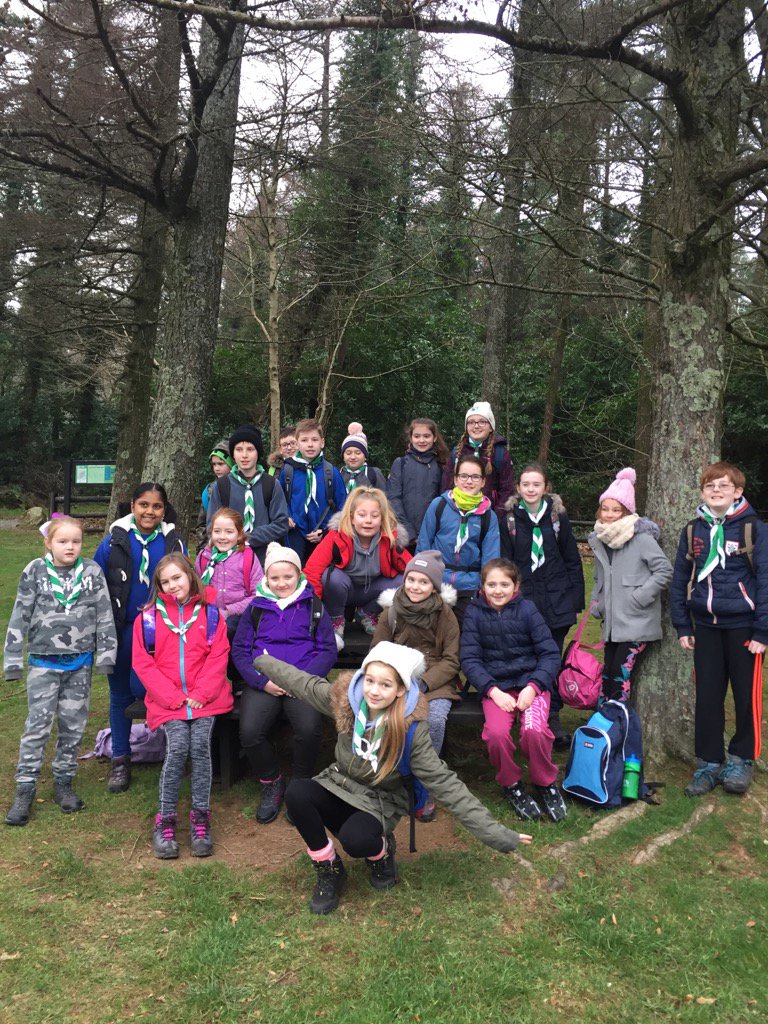 Cubs hiking in Carrickbyrne forest this morning