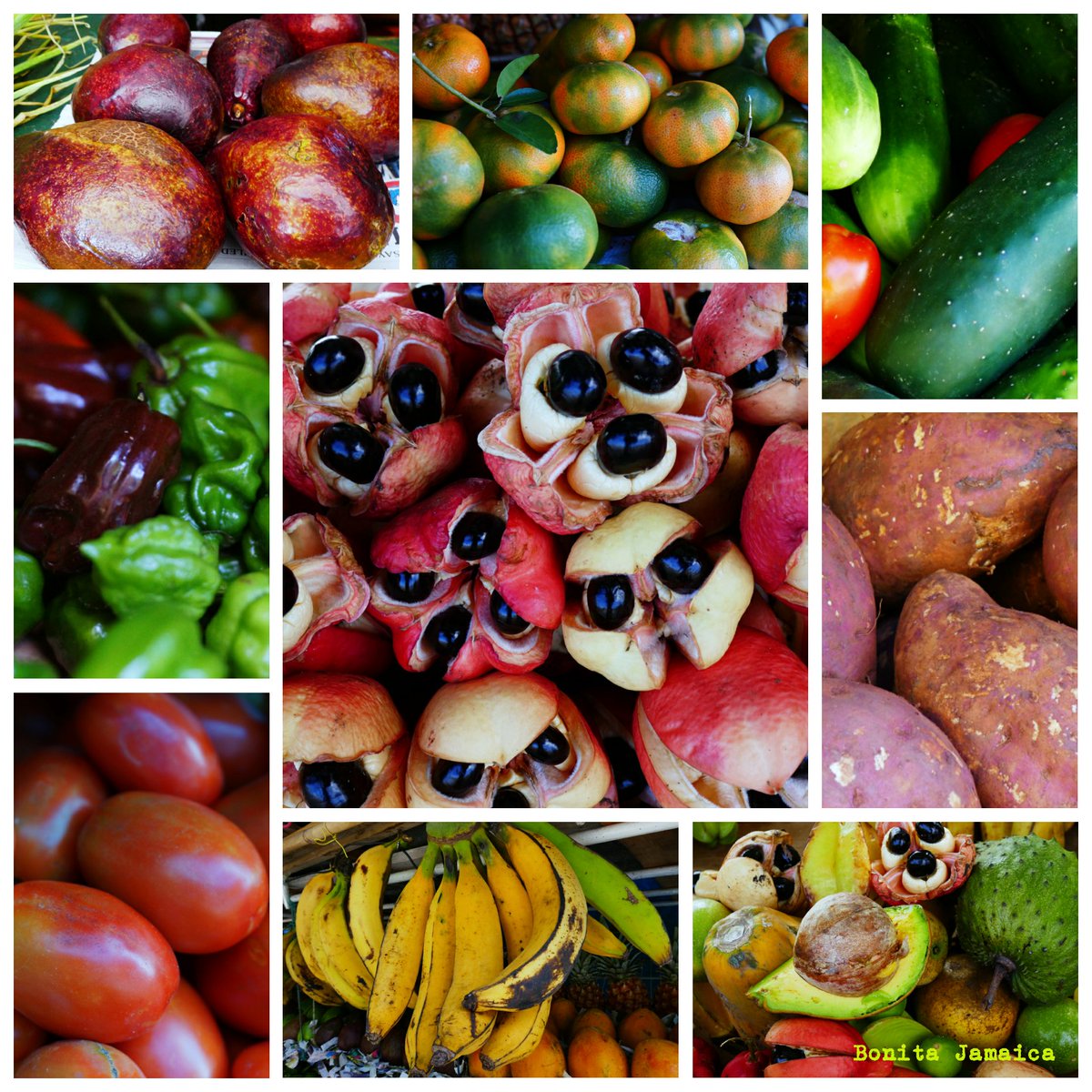 BonitaJamaica's tweet photo. Healthy nutritious produce from Jamaica. #Travel #Jamaica #Health #Healthcation #Wellness #Fruit #Food https://t.co/lwQ0q8shFE