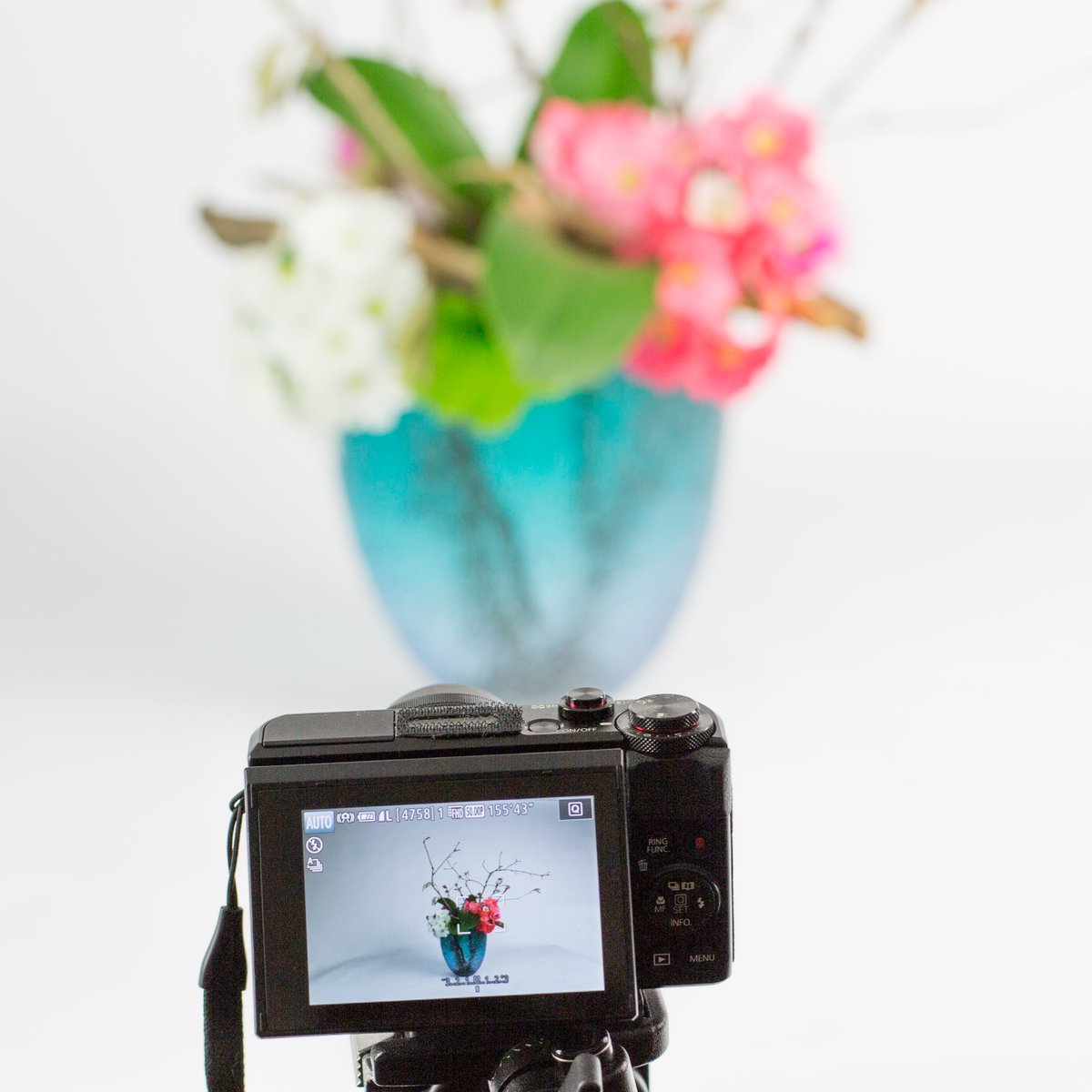 Having a lot of fun creating flower videos for the upcoming weeks.
@primulatouchme1
 trendbubbles.nl/youtube