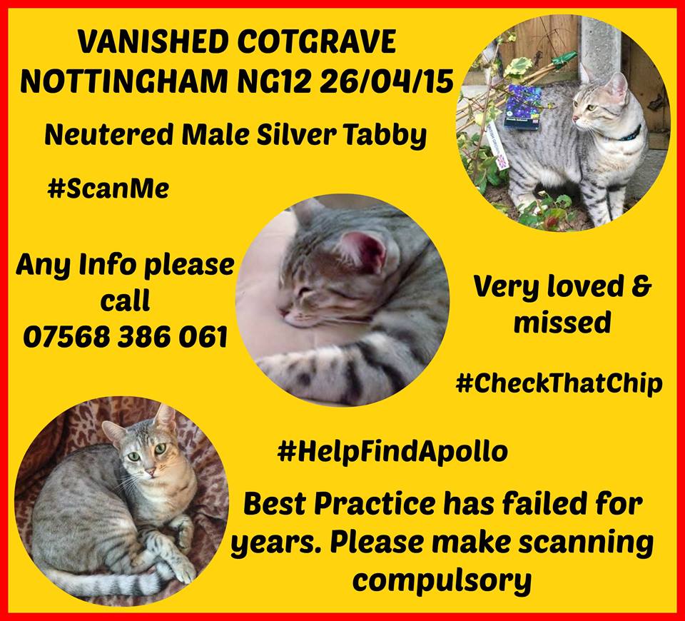 HelpFindApollo's tweet photo. Have you seen me⁉Know someone looking after me⁉Have ANY information about me⁉PLEASE #Help2FindApollo #CheckThatChip #ScanMe #HelpFindApollo https://t.co/ScAuSgVviW