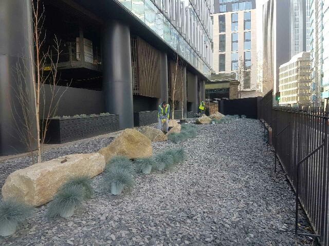 High Five landscaping the city!!!   We're almost done...just give us a challenge and we'll meet it! And beat it!!!