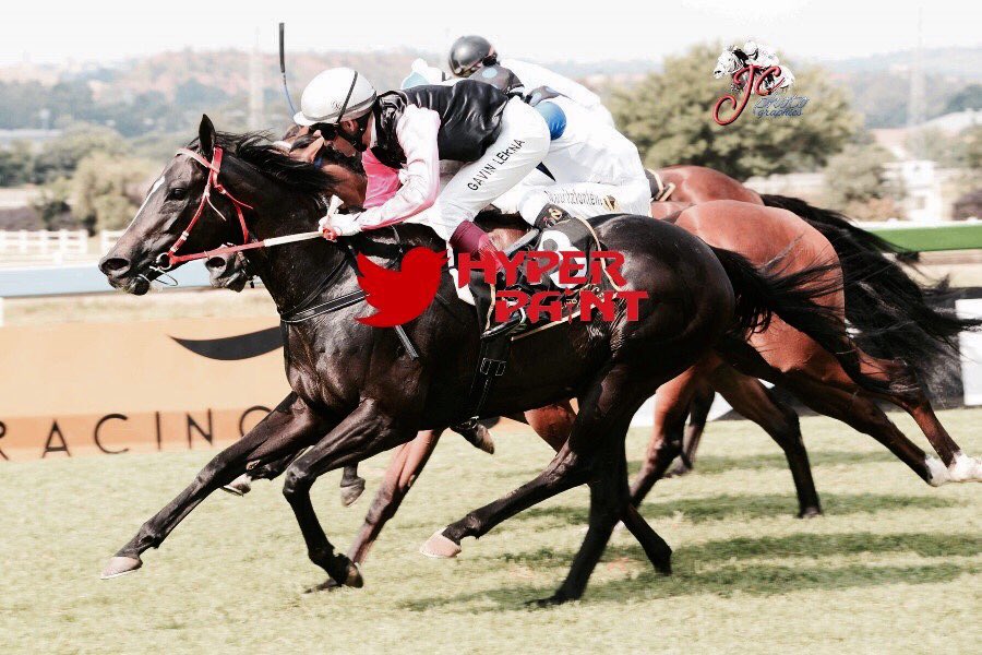 Paul Peter Racing (@peter_racingsa) on Twitter photo First Dace rounding off a fantastic double. Daughter of Daniel Dancer, with <a href="/gavlerena07/">Gavin Lerena</a> up. Thank you Gavin for always providing for usππ½ First Dace rounding off a fantastic double. Daughter of Daniel Dancer, with <a href="/gavlerena07/">Gavin Lerena</a> up. Thank you Gavin for always providing for usππ½