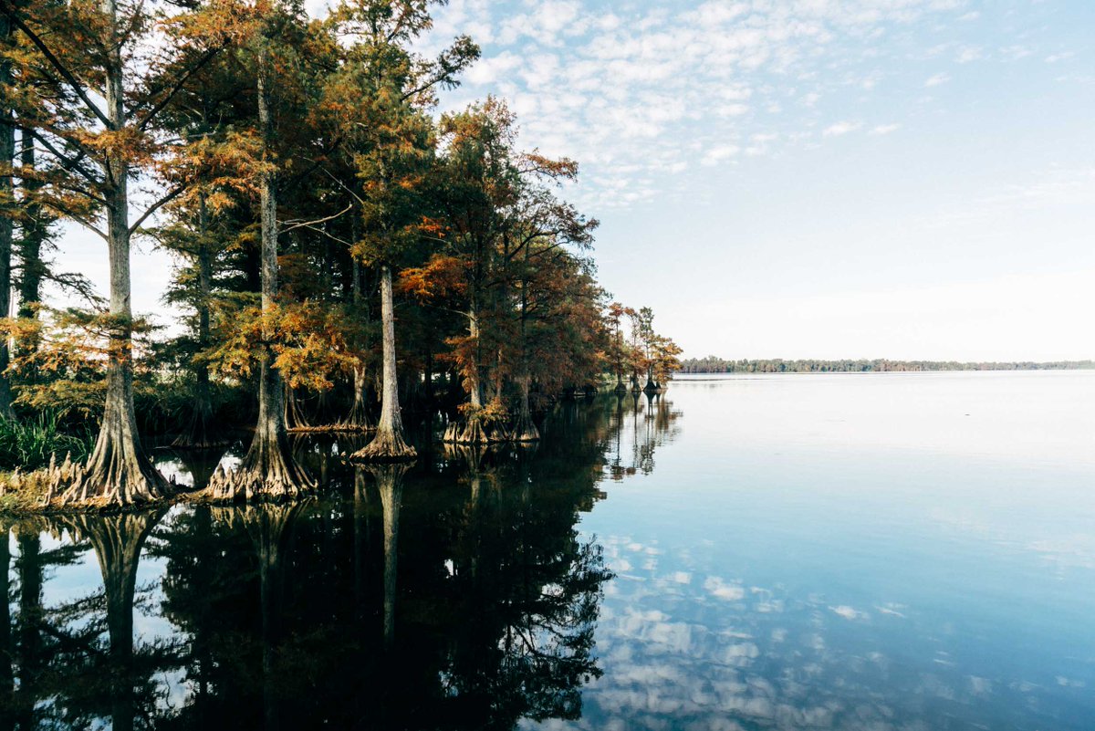 Happy 80th birthday to <a href="/TennStateParks/">TN State Parks</a>!