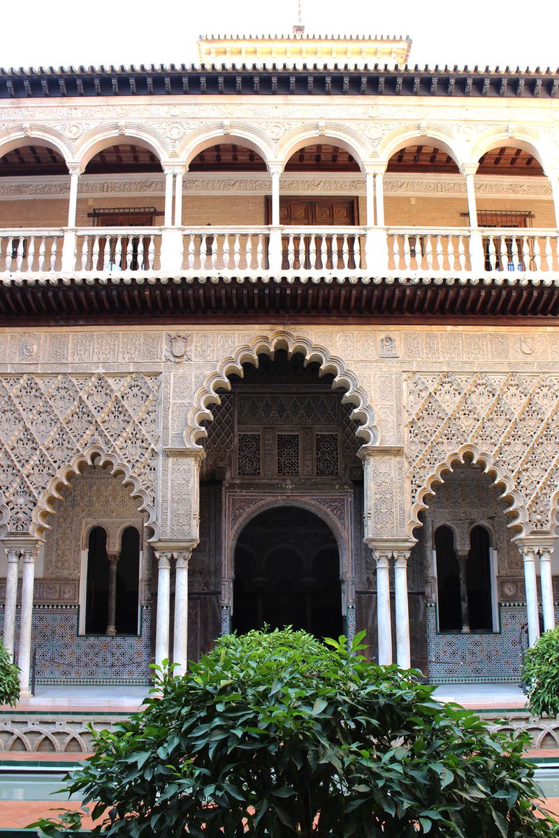 pureidyll's tweet photo. Exploring the Alcázar of Seville! https://t.co/eavjZkgEsO