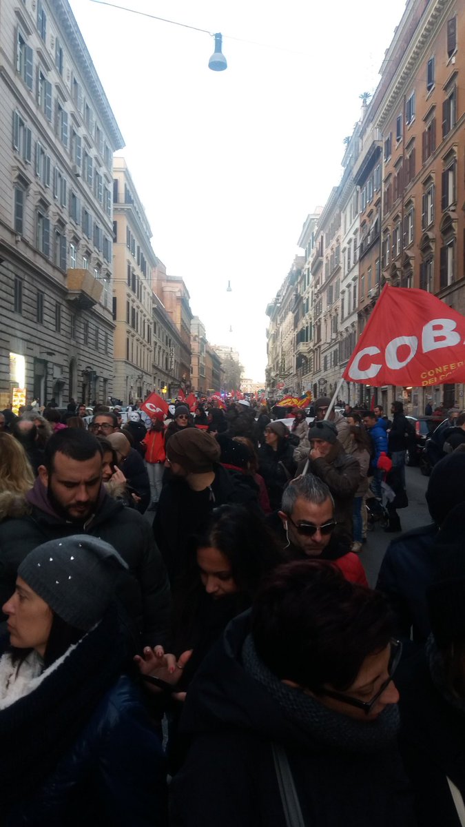 amedea bartoloni tweet media