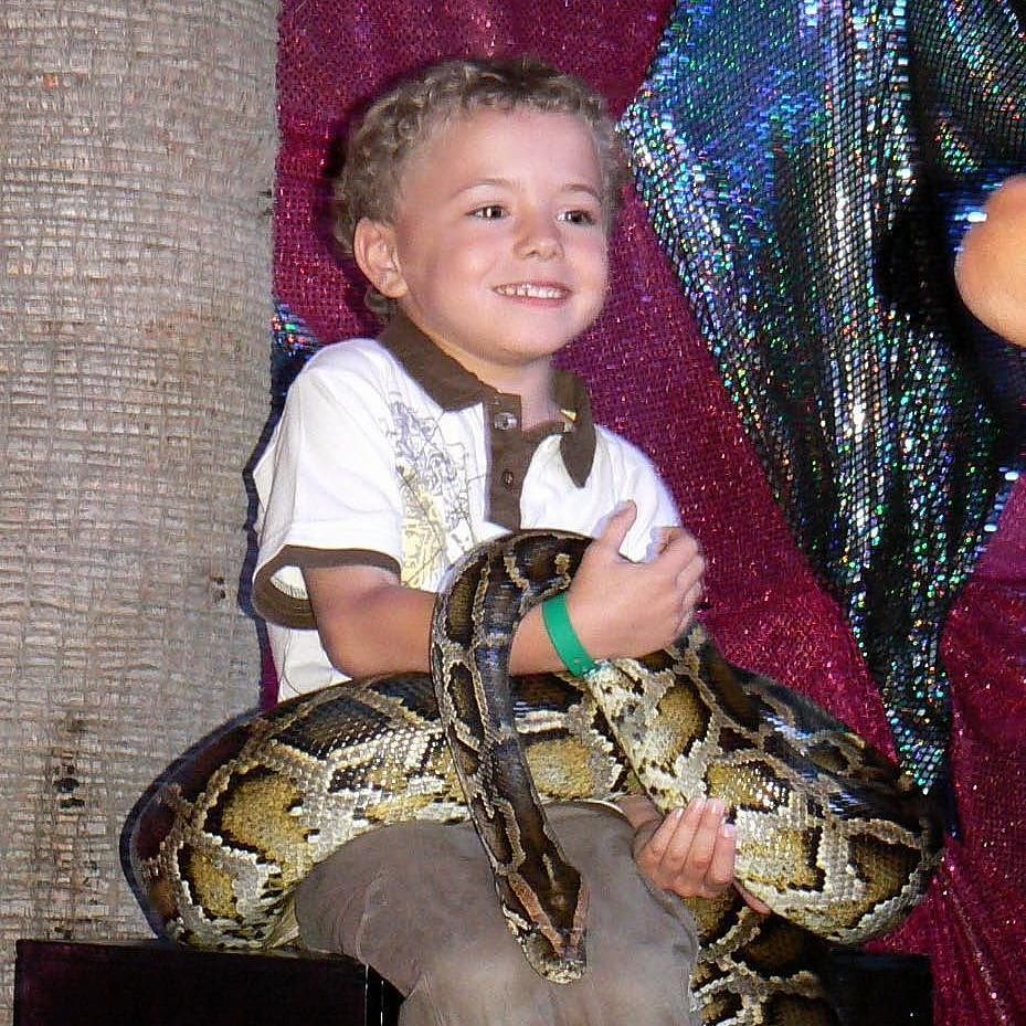 MummyMatters's tweet image. Here you go @wentworth40 little Curly aged 4 with a rather large snake!! 😊 #kidsofinstagra… ift.tt/2iQvFWP