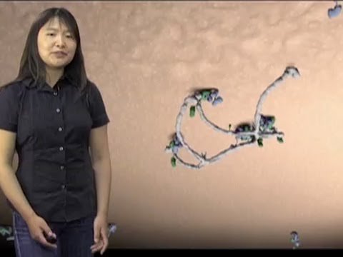 MartaMachoS's tweet image. ¿Cómo pueden las animaciones ayudar a los científicos a probar una hipótesis? Charla #ted2014 de @janetiwasa 
mujeresconciencia.com/2017/01/22/com…