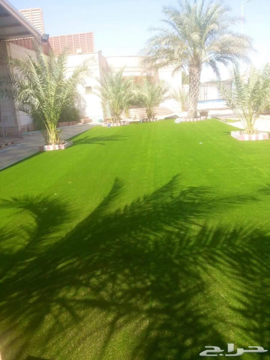Group22Rema's tweet photo. ⭕ ️موسسه رويال ⭕️
متخصصه في مجال #العشب #الصناعي 
#حدائق_ملاعب
للاستفسار:
0566556567
#المدينة_المنورة 
#ينبع 
 #طايرات_حربيه_في_سماء_الرياض https://t.co/uDTjBAXXC8