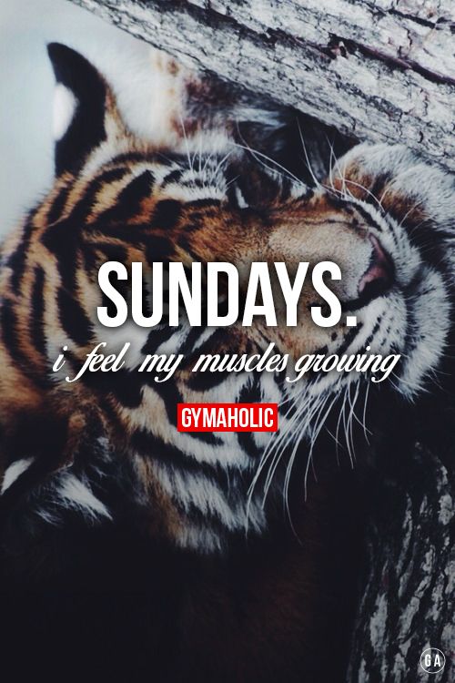 FitnessPerDiem's tweet image. 🎶 Let Them Grow, Let Them Grow 🎶
#Sunday #FitnessMotivation #FitnessGoals