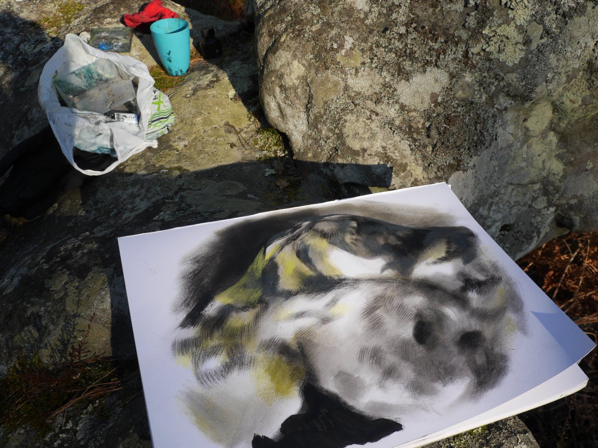 fvolantes's tweet photo. Painting #rocks by -6°C !! #winter #drawing #fontainebleau #forest https://t.co/SFTu5RQUCi