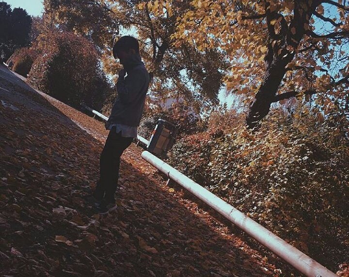 offixale's tweet image. 