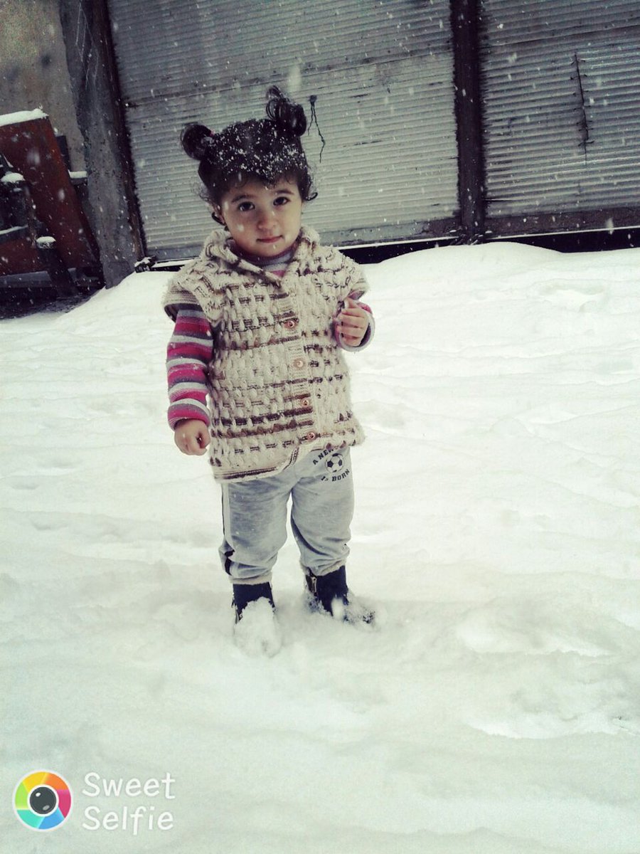 Ayten Dalda (@aytendalda) on Twitter photo 