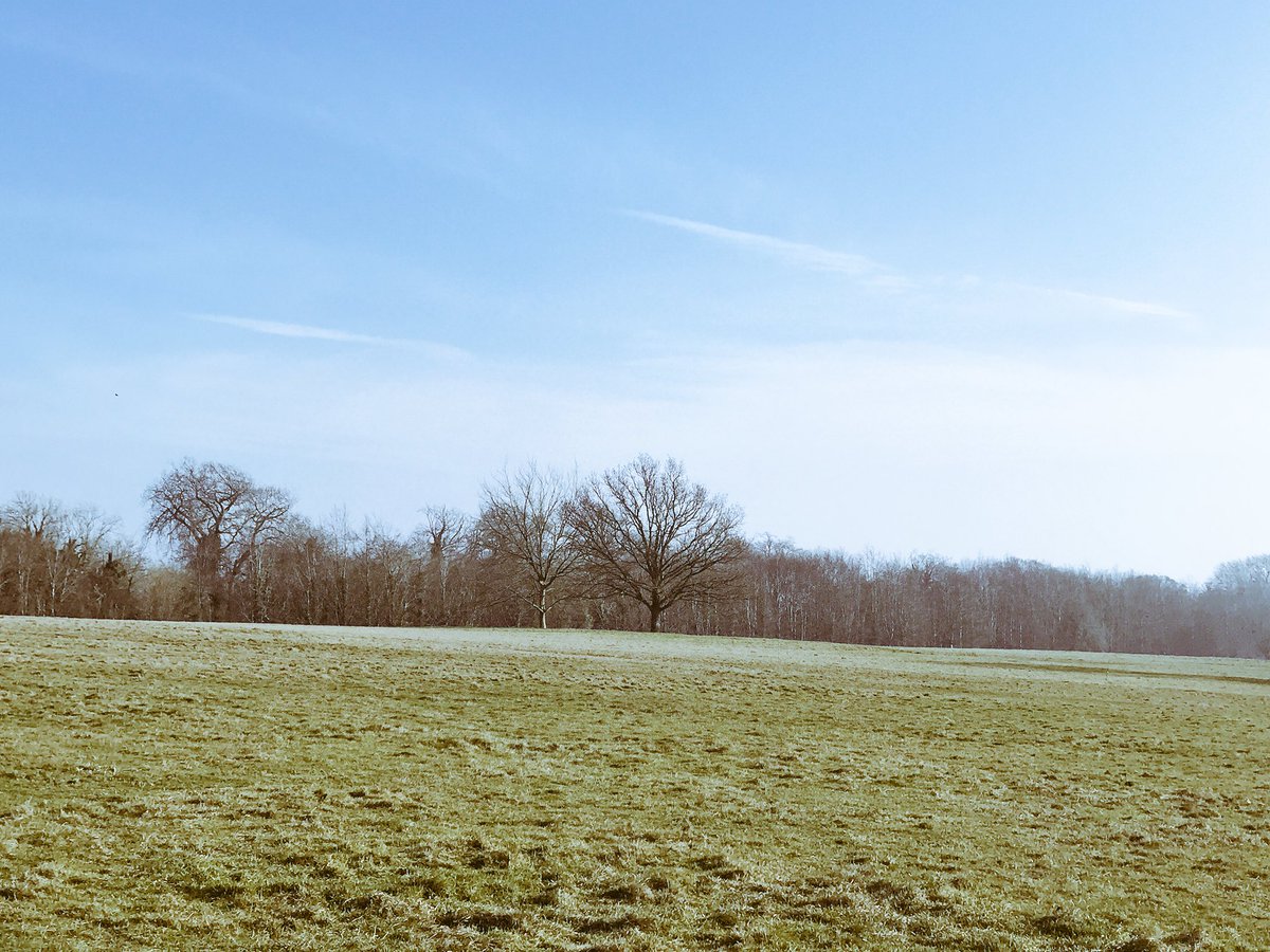 katrynadow's tweet photo. #Sunday walk #Arundel
@vivmonk & 🐾 #AhFu https://t.co/YVqcnJcoqW