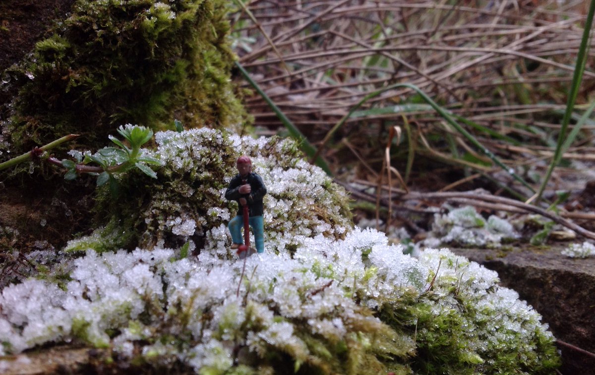 Attention2place's tweet photo. The ground is too hard today for digging ... Just admire the view!
#macrospace-microplace #365DaysWild https://t.co/erVN0Jwc5h