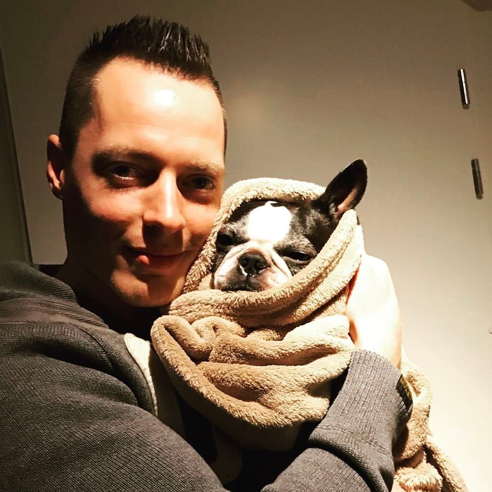 A mans best friend! Nice and cozy in te blanket #lazysunday #dog #bostonterrier