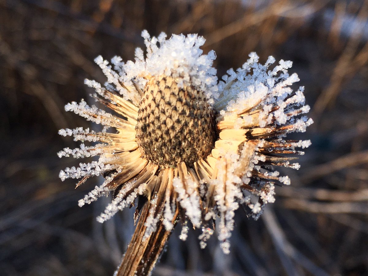 Landgoed Oostbroek @UtrLandschap