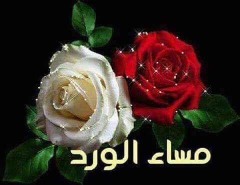 ⛅ مـَسّـِآء الـخّـيًــر ⛅
اجـمـل مـافي الـحياة
ان تـجـد انسـان
يقراكـ. دون حـروف
يفهمكـ. دون كـلام
يحـبكـ. دوون مقابل