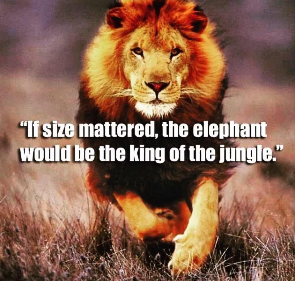 <a href="/TheHHSChaosCrew/">HHS Chaos Crew</a>...THURS NIGHT. Loudoun Valley <a href="/RoarPride/">Heritage High School</a> 7 pm start. District Championship on the line. MANDATORY ATTENDANCE!! #Time2Hunt