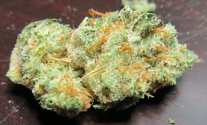 Strain: Juicy Fruit
Class: Hybrid
Taste: Sweet and Citrus
*Makes you Creative, helps with Pain
#StrainoftheDay #Stoner #Strain #Weed #THC