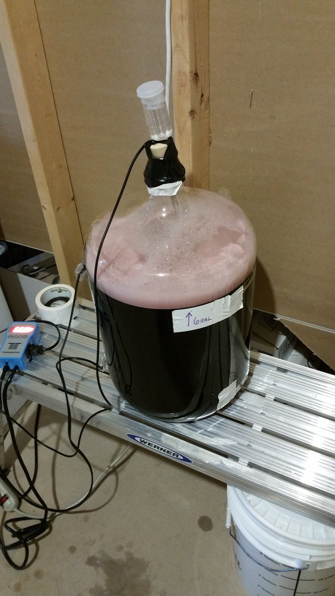 GrumpyOwlBrew's tweet photo. Raspberry merlot ready in 2-3 months... https://t.co/CEwYrQSfsp