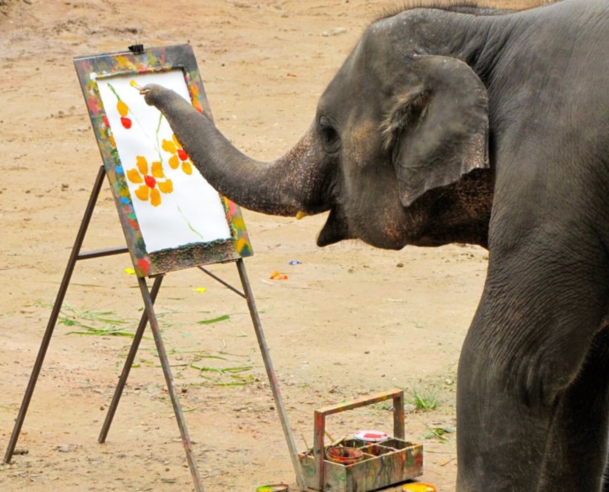 anikasleem's tweet image. Months of brutal training so elephants repetitively spend each day painting same pic for tourist to buy #OpElephant
