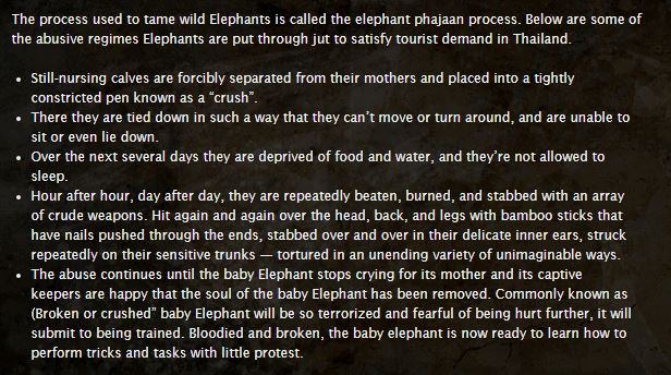 sanmarino397's tweet image. If you ride an Elephant, you support this horrific cruelty of Elephants called the &quot;phajaan process&quot;. #OpElephant