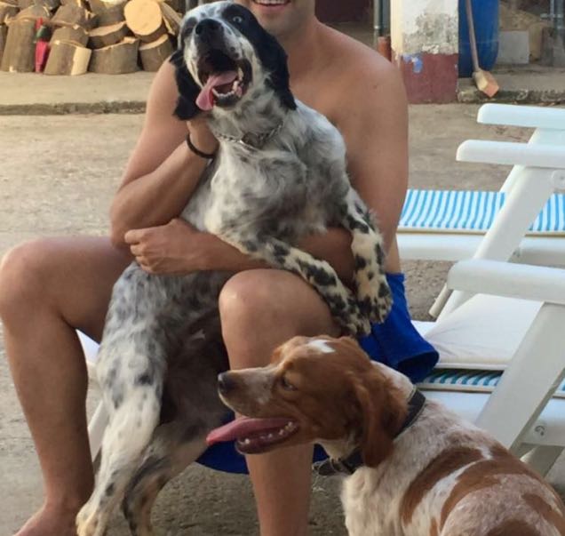 Señores se me han perdido los dos perros en la zona de la algaba, si alguno los ve ponerse en contacto al telefono 620449123