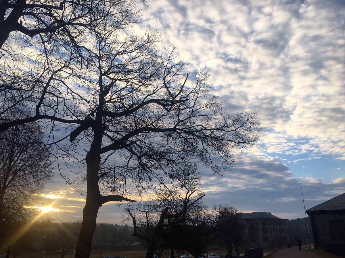 Emjay1028's tweet photo. #Mornings are the best part of every day! Happy Sunday & #GoPats!! #ViewFromMorningRun #RoadToThirteenPointOne #Boston #runDisneyTraining https://t.co/r7ex9zhHTU