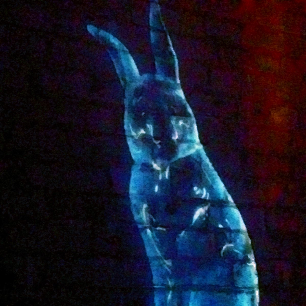 EmsCanadian's tweet photo. Enchanted Experience @LuminaBorealis @FortHenry #kingston #ontario #frontenac #ontariotravel  #winter #familyfun https://t.co/dxIUWM0ye1