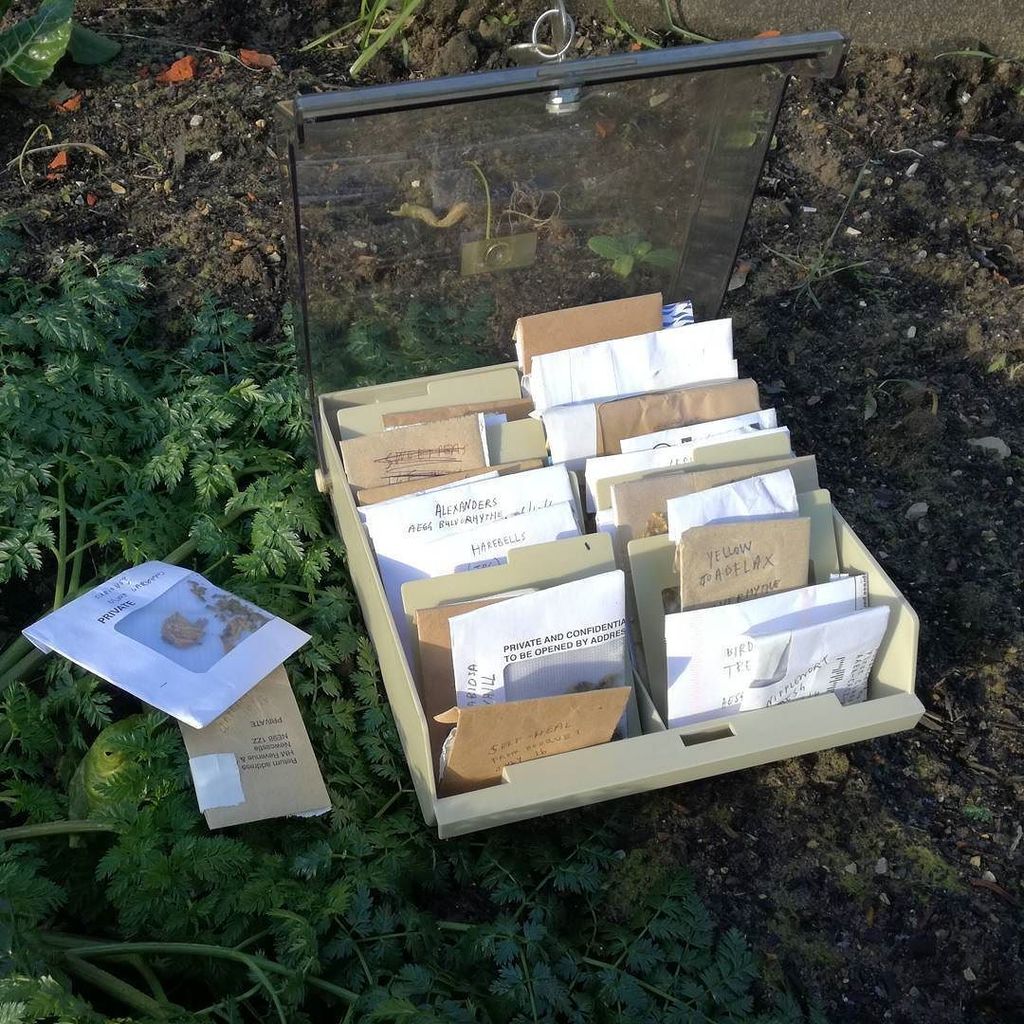 seanroyparker's tweet photo. sorting #wildflower seeds from my portable library for sowing a #micromeadow https://t.co/u9uD7aBgNL https://t.co/uyW7eiUmJn