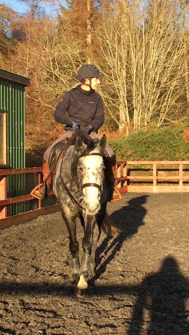 Dani_Lee87's tweet photo. My coach never fails to make me smile! @erniedillonfbhs
#viewmount
#theverybesthorse
#anniebenannie
ππ»π https://t.co/osvPuF0JIz