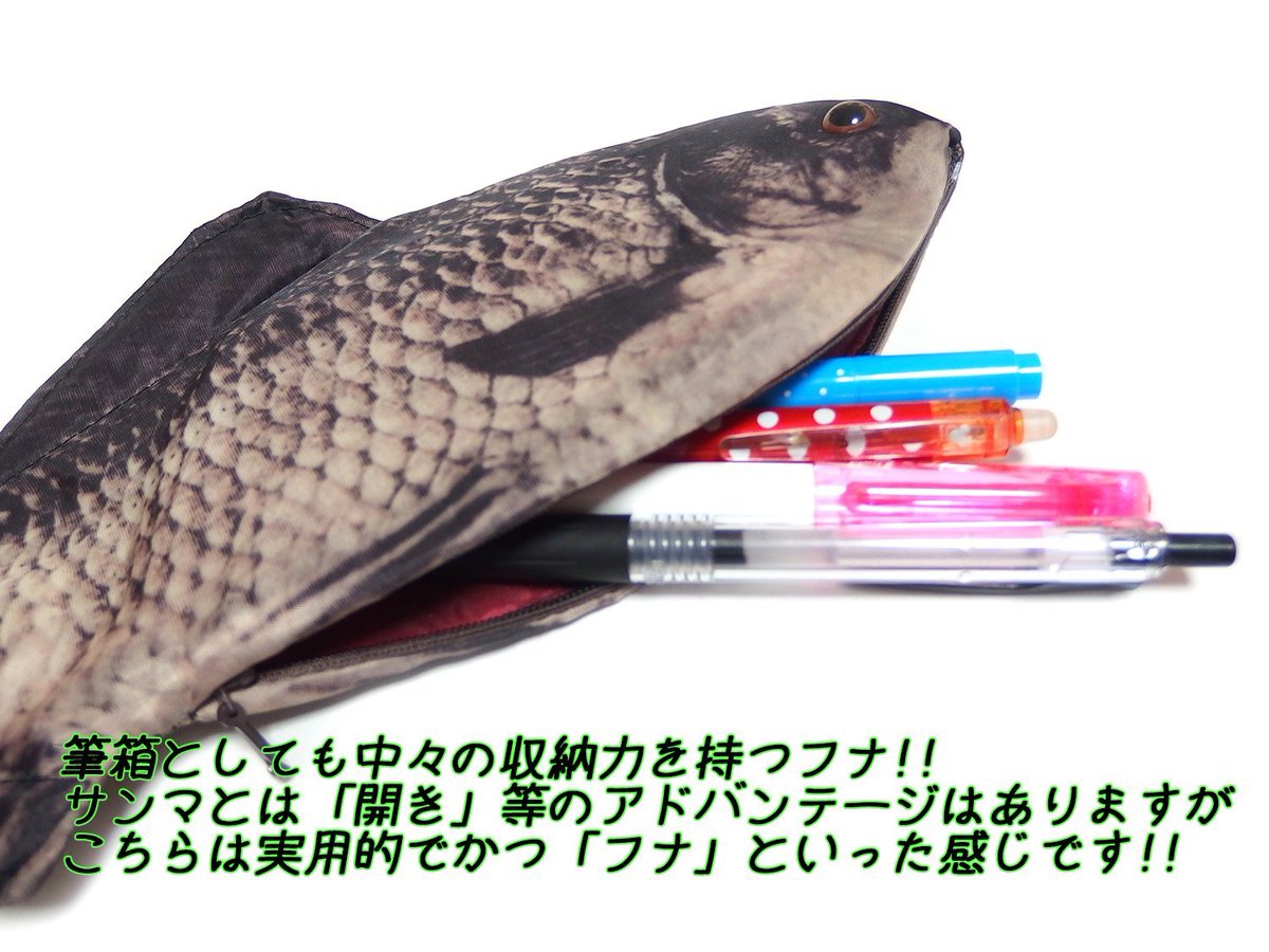 思わず「生臭そう～！」
魚 ペンケース(フナ2匹)！！！