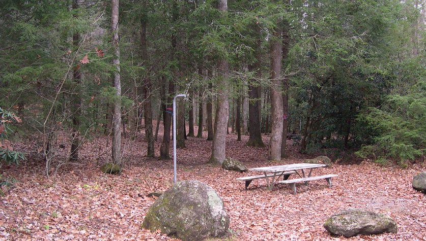 usfs_srs's tweet photo. Experiment at Blue Valley EF on sunlighting to increase survival of #hemlocks from #HWA in #SouthernApps. https://t.co/3J3mms5Jv0 https://t.co/15x4D6UZw2