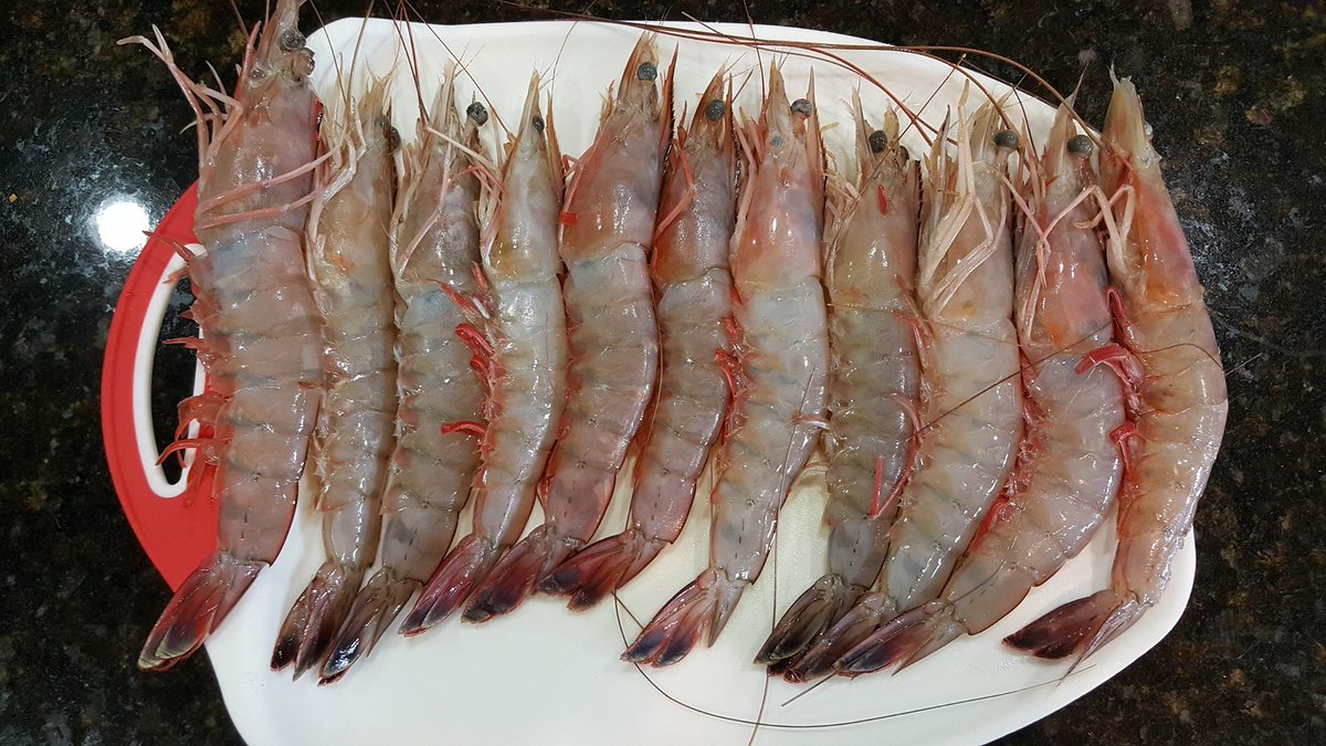 Boyds1Stop's tweet photo. Huge Shrimp Sale on Huge Shrimp!!! Come see us! 4099454001

https://t.co/Yxal9MCMkJ https://t.co/V3PafLDF8N