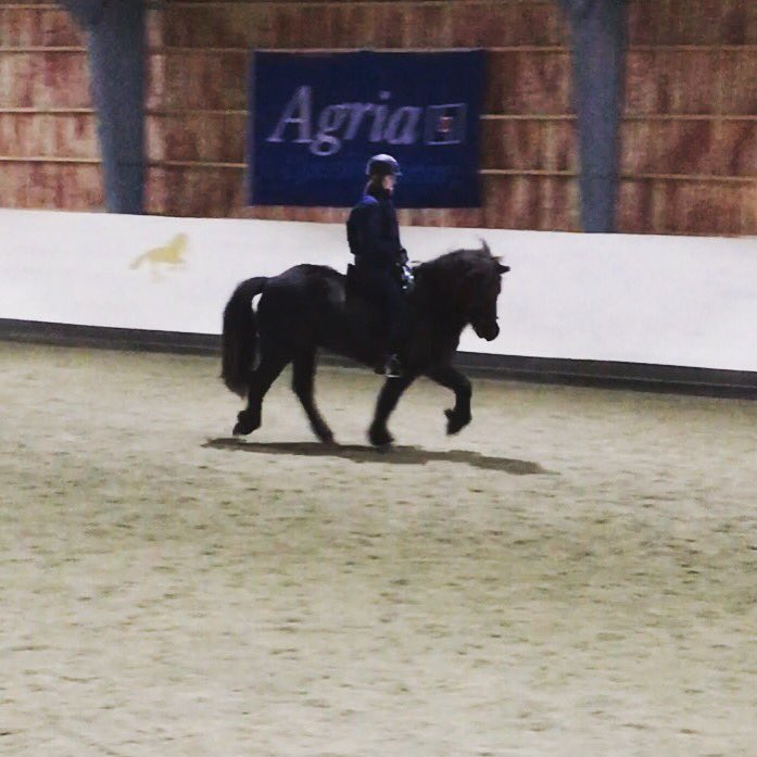 saraaandersson1's tweet photo. Kurs i helgen för Fredrik ✨✨ https://t.co/ODIaV2vjwR