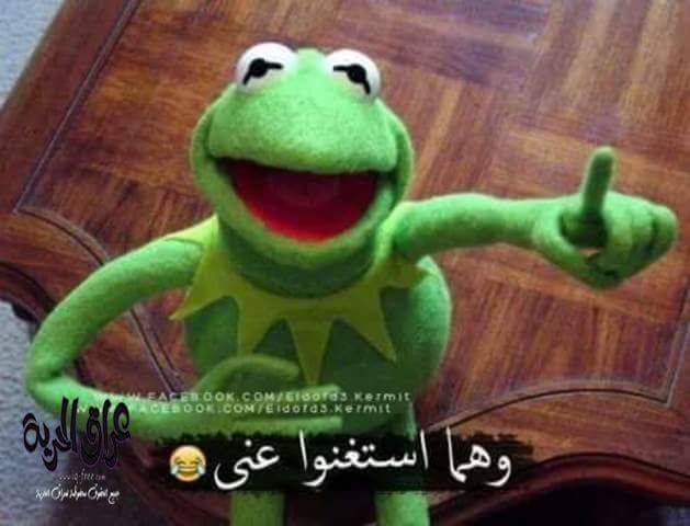 HornySamia's tweet photo. كمية الزبار الي عم اشوفها كل يوم 
اكتر من المطهر طول عمره https://t.co/KsGZ8MNurJ