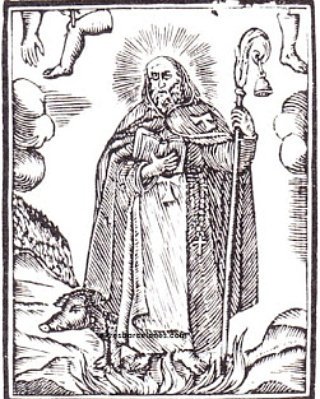 Mulassa busca poble tweet media