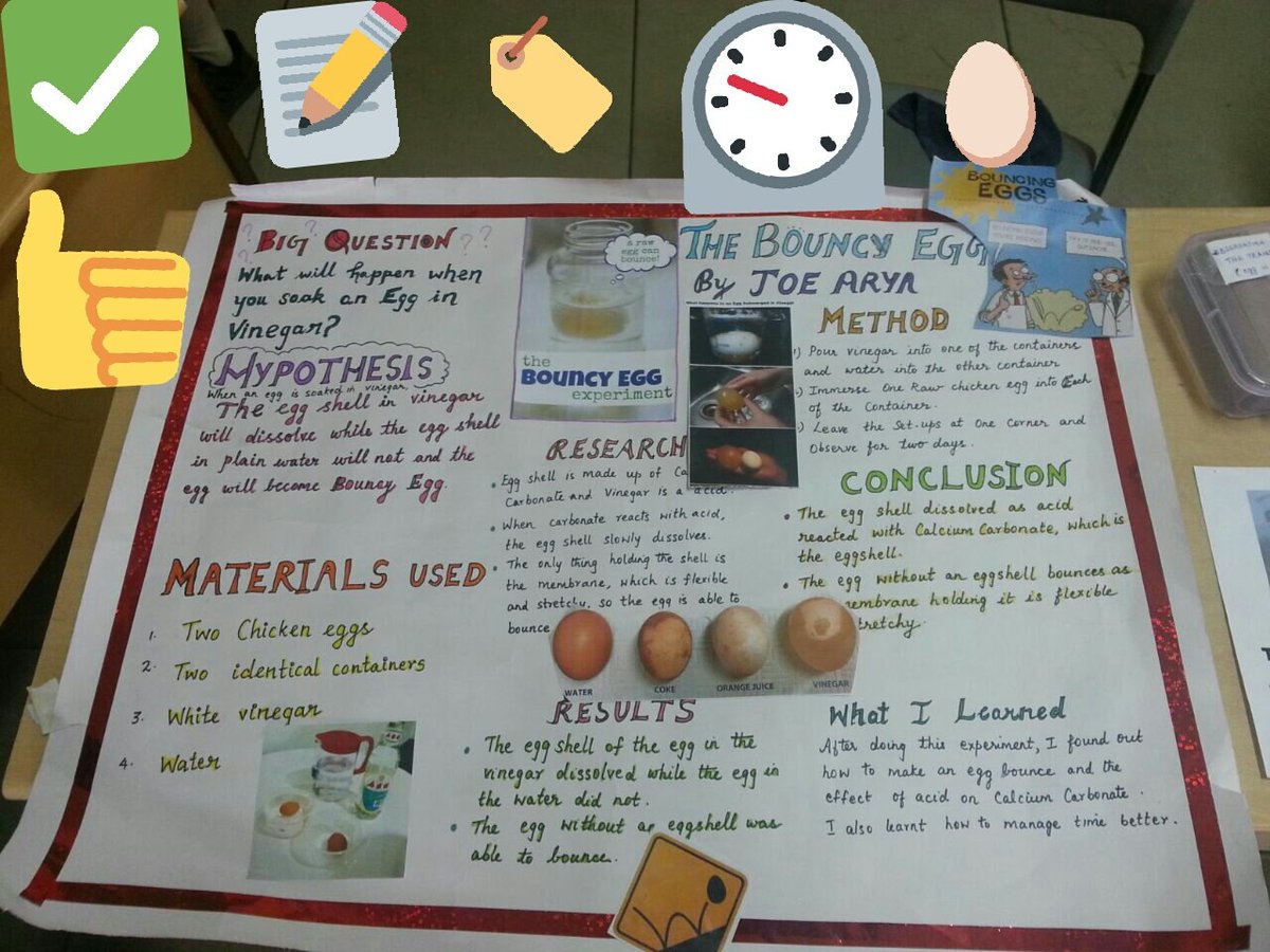 shallysketches's tweet image. #Sciencefairproject #secondgraders #Bouncyegg #scienceexperimentforkids